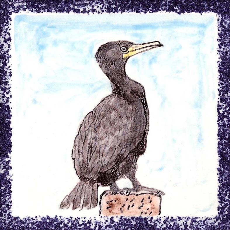 Seabird 1