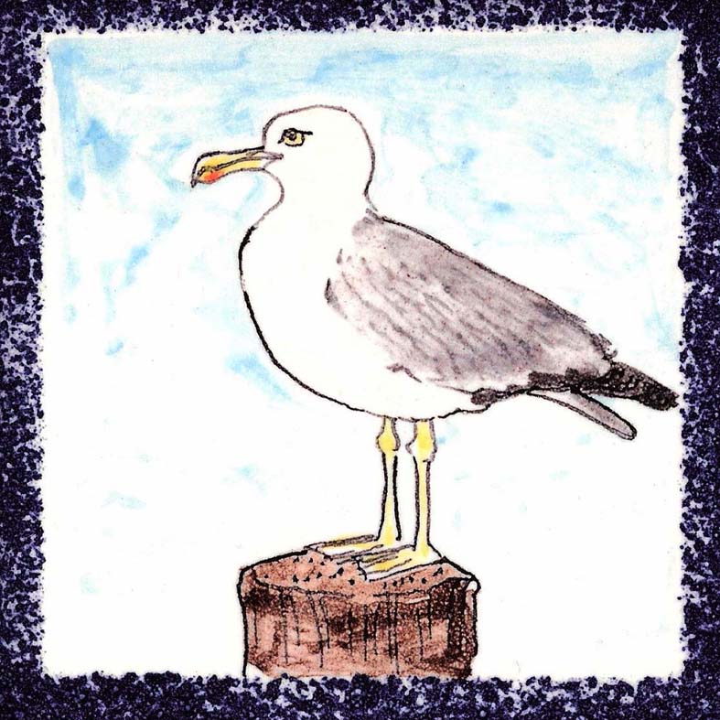 Seabird 10
