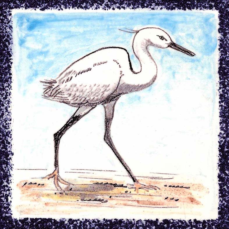 Seabird 11