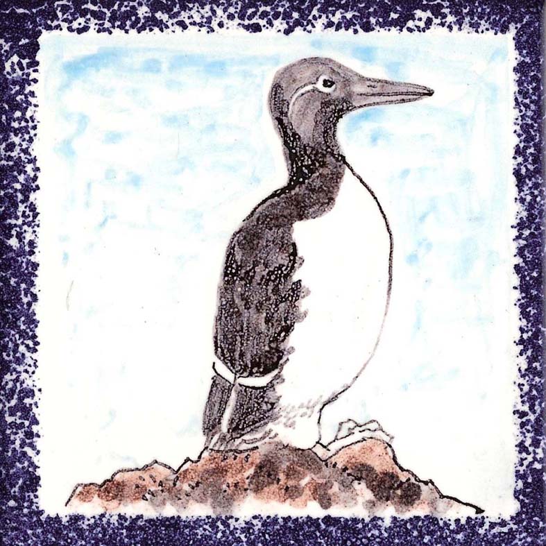 Seabird 12