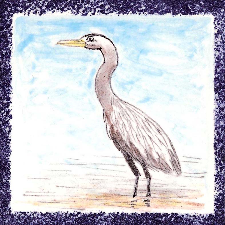 Seabird 14