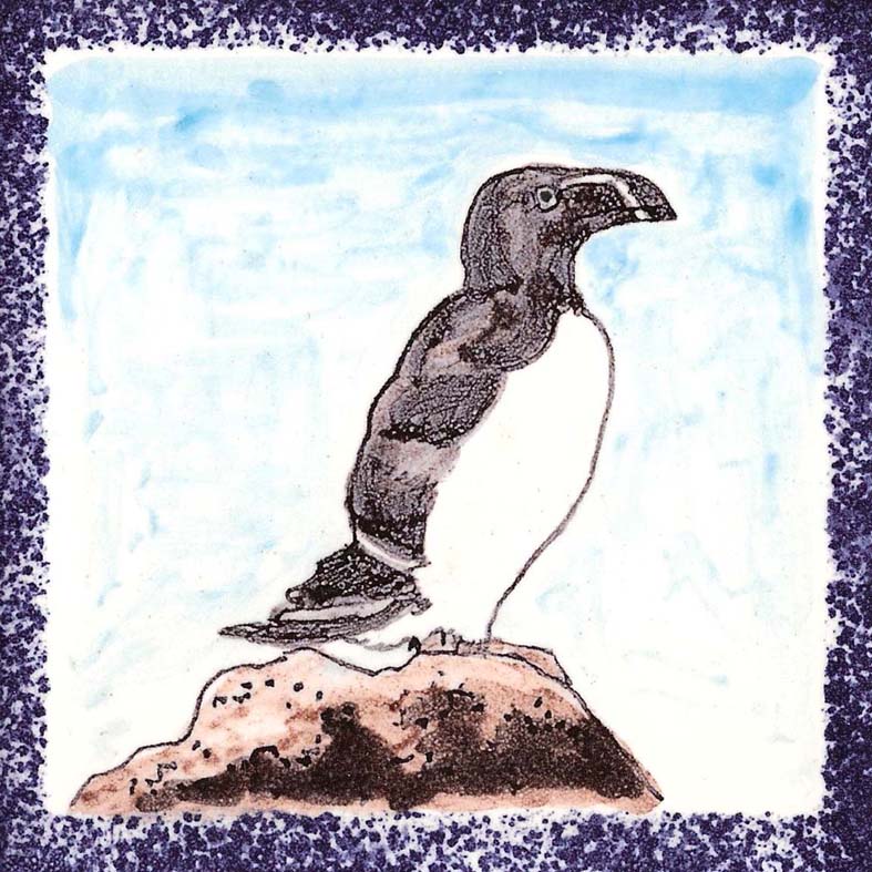 Seabird 15