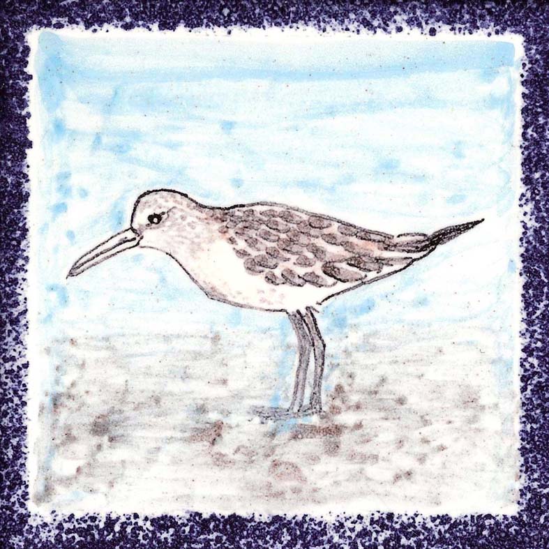 Seabird 18