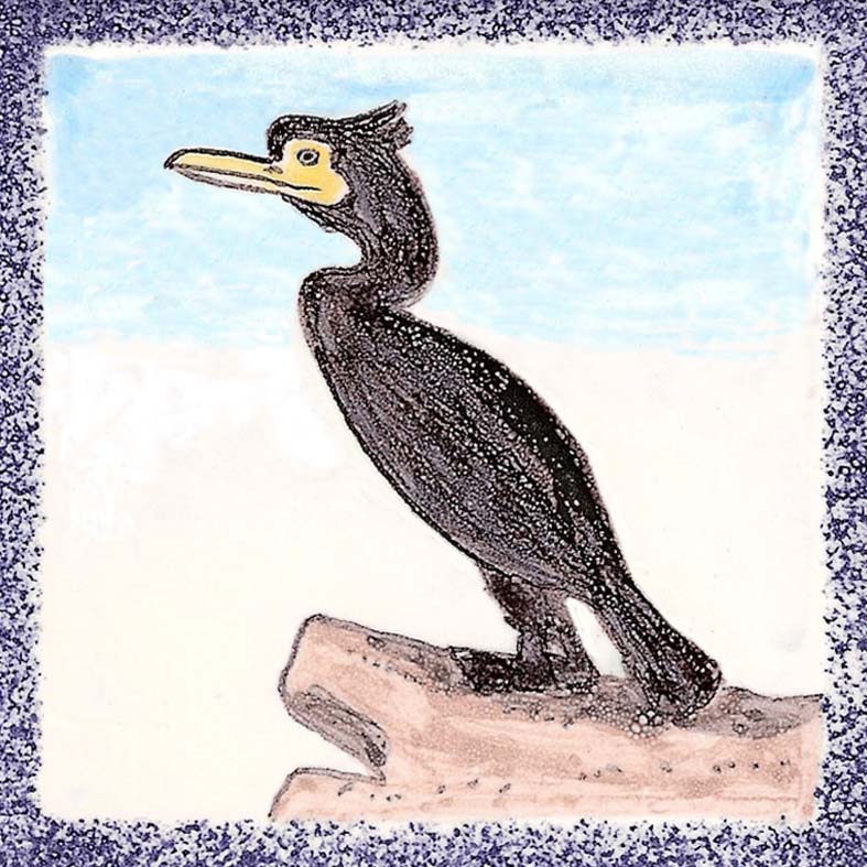 Seabird 19