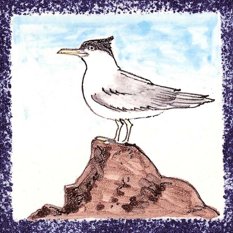 Seabird 2