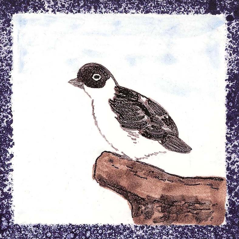 Seabird 20