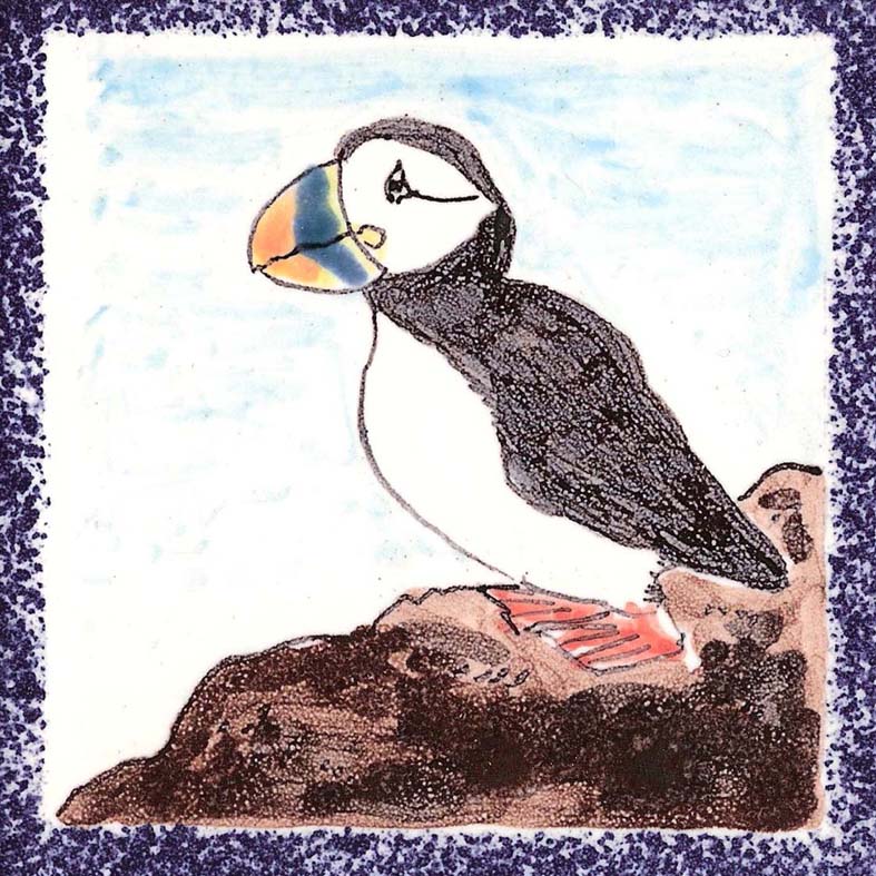Seabird 3