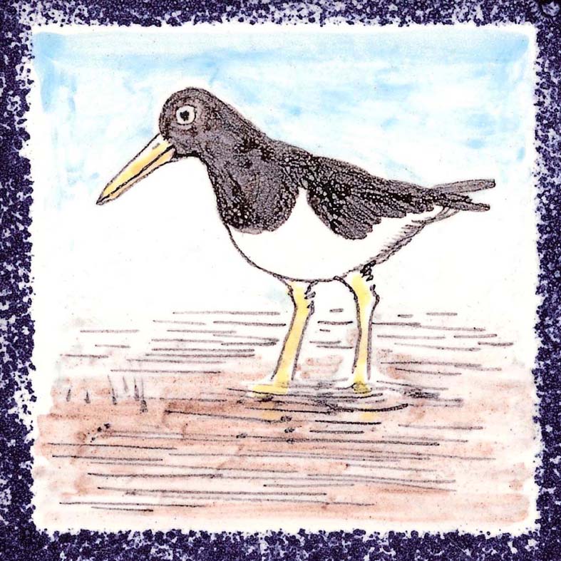 Seabird 5