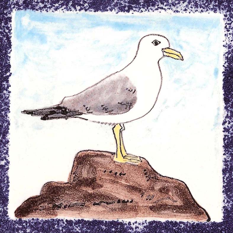 Seabird 6