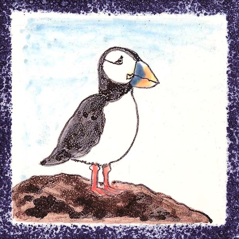 Seabird 7