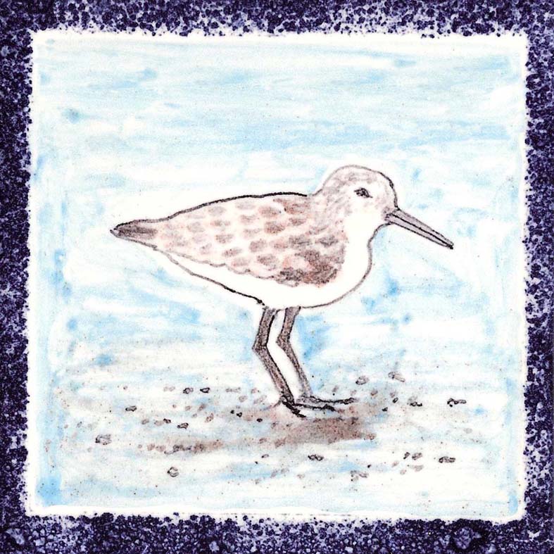 Seabird 9