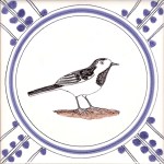 14 Pied Wagtail