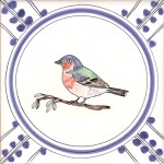 16 Chaffinch