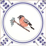 17 Bullfinch