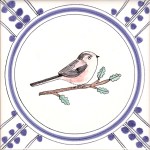 21 Long Tailed Tit