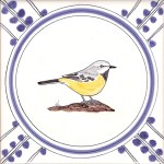 22 Grey Wagtail