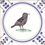 24 Starling