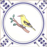 28 Golden Oriole