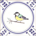 4 Great Tit