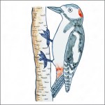 woodpecker tile