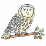 Tawny owl tile