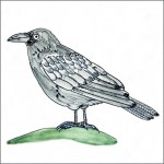 Crow tile