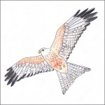 Red kite tile