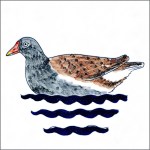 Moorhen tile