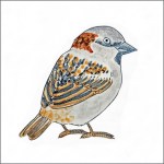 sparrow tile