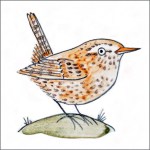 Wren tile